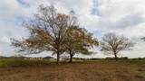 4646 Fm 2679 Road - Photo 5