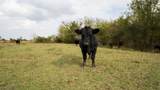 4646 Fm 2679 Road - Photo 7