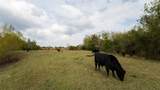 4646 Fm 2679 Road - Photo 9