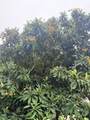 8910 Neff Street - Photo 6