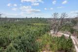 9422 Farm To Market 62 - Photo 19