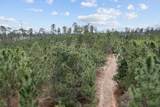 9422 Farm To Market 62 - Photo 20