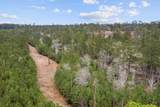 9422 Farm To Market 62 - Photo 28