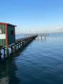 266 Ladyfish - Photo 10