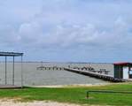 266 Ladyfish - Photo 13