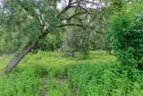 359 County Road 472 - Photo 9