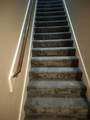 3507 Canfield Street - Photo 15