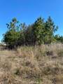 5059 County Road 3540 - Photo 3