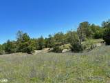 R13945 A0049J Peterson Tract 50 Acres - Photo 10