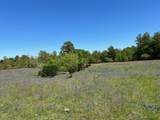 R13945 A0049J Peterson Tract 50 Acres - Photo 12