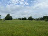 R13945 A0049J Peterson Tract 50 Acres - Photo 13