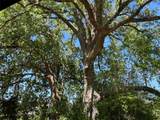 R13945 A0049J Peterson Tract 50 Acres - Photo 15