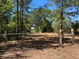 R13945 A0049J Peterson Tract 50 Acres - Photo 16
