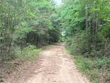 R13945 A0049J Peterson Tract 50 Acres - Photo 17