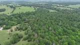 R13945 A0049J Peterson Tract 50 Acres - Photo 19