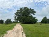 R13945 A0049J Peterson Tract 50 Acres - Photo 2