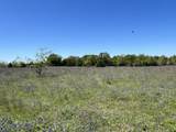 R13945 A0049J Peterson Tract 50 Acres - Photo 5