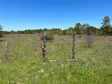R13945 A0049J Peterson Tract 50 Acres - Photo 6
