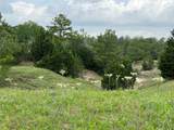 R13945 A0049J Peterson Tract 50 Acres - Photo 7
