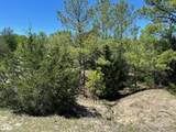 R13945 A0049J Peterson Tract 50 Acres - Photo 8