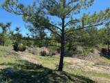 R13945 A0049J Peterson Tract 50 Acres - Photo 9