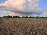 TBD Cr 343 Harter Road - Photo 6