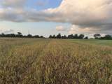 TBD Cr 343 Harter Road - Photo 7