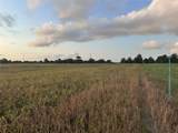 TBD Cr 343 Harter Road - Photo 9