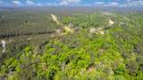 12868 Oak Barrel Road - Photo 2