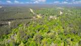 12868 Oak Barrel Road - Photo 3