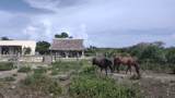0 Hwy 307 - Photo 11