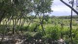 0 Hwy 307 - Photo 13