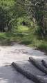 0 Hwy 307 - Photo 20