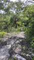 0 Hwy 307 - Photo 21