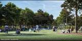 41696 Wendele Way - Photo 45