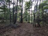 232 Texas Grand Road - Photo 4