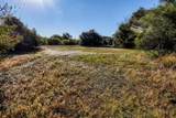 10702 Palestine Road - Photo 16