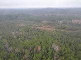 1 Rec Road 255 - Photo 15
