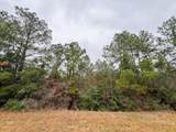 1 Rec Road 255 - Photo 8