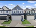 3574 Lovebird Lane - Photo 1