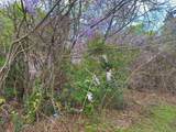 303 Carter Street - Photo 2