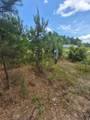 65 Road 5264 - Photo 3