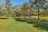 4610 Sloangate Drive - Photo 13