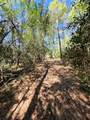 4610 Sloangate Drive - Photo 38