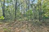 1811 Black Bear Drive - Photo 2