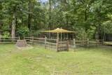1823 Will Scarlett Street - Photo 44