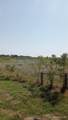 80 Acres TBD Lcr 648 - Photo 6