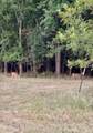 80 Acres TBD Lcr 648 - Photo 7