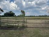 80 Acres TBD Lcr 648 - Photo 8