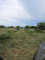 36847 Richard Frey Drive - Photo 8
